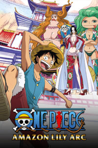 One Piece Boa Hancock Amazon Lily Saga Poster