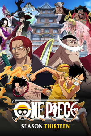 One Piece Season 13 Poster