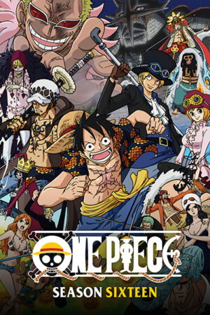 One Piece Season 16 Poster