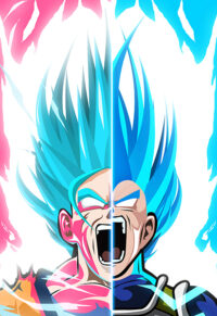 Dragon Ball Goku X Vegeta Super Saiyan Blue Poster