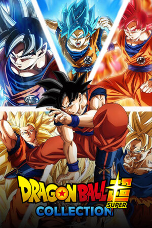 Dragon Ball Super Collection Poster