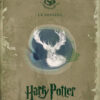 Harry Potter Order Of The Phoenix Poster