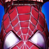 Marvel Spider Man Peter Parker Poster