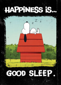 Peanuts Snoopy Happiness Is Good Sleep Poster