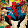 Spider Man Comic Panel Poster