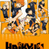 Haikyu 2014 Poster