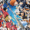 Haikyuu Battle Of The Garbage Dump Poster