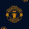 Manchester United Golden Poster