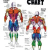 Jiren Dragon Ball Anatomy Chart Anime Poster