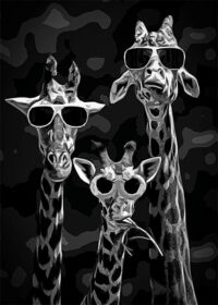 Cool Giraffes funny Poster