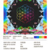 A Head Full Of Dreams By Coldplay Poster