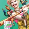 Birds Of Prey 2020 Movie Poster