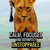 Calm Focused Unstoppable Animal Motivational Poster