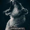 Create Opportunities Animal Motivational Poster