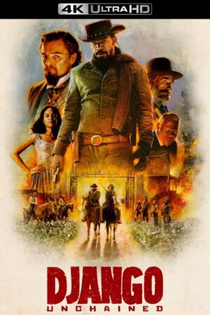 Django Unchained 2012 Movie Poster