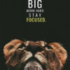 Dream Bug Work Hard Stay Focused Animal Motivational Poster