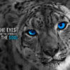 Eyes Show The Strength Of Soul Motivational Poster