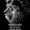 Focus On Winning Animal Motivational Poster