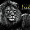 Focus On Your Goals Animal Motivational Poster