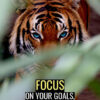 Focus On Your Goals Ignore The Noise Motivational Poster