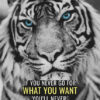 Go For What You Want Animal Motivational Poster