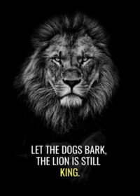 Let The Dogs Bark Lion Is Still The King Motivational Poster