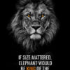 Lion Is King Of Jungle Not Elephant Animal Motivational Poster