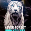 Never Forget Who You Are Animal Motivational Poster