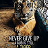 Never Give Up Animal Motivational Poster