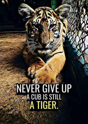 Never Give Up Animal Motivational Poster