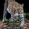 Never Let Your Emotions Overpower Your Intelligence Animal Motivational Poster