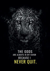 Never Quit And Odds Will Be Your Favour Animal Motivational Poster