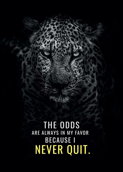 Never Quit And Odds Will Be Your Favour Animal Motivational Poster