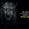 Never Quit Animal Motivational Poster