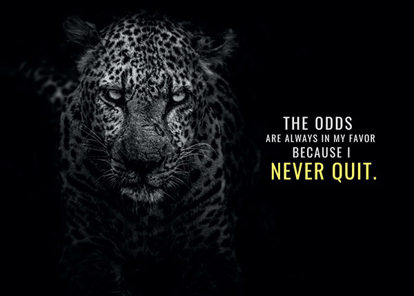 Never Quit Animal Motivational Poster