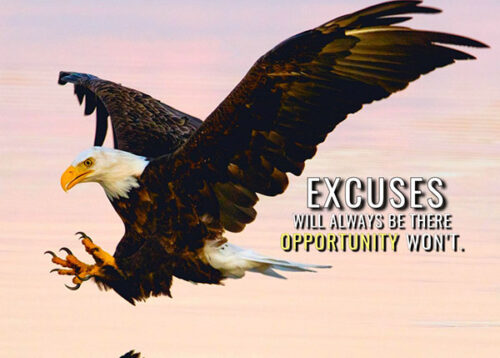 No More Excuses Animal Motivational Poster