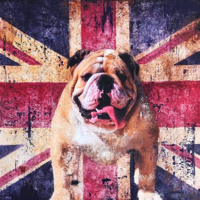 Pitbull England Flag Poster