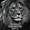 Power Of Imagination Makes Us Infinite Animal Motivational Poster