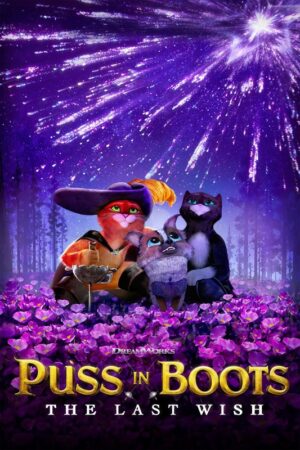 Puss In Boots The Last Wish 2022 Movie Poster