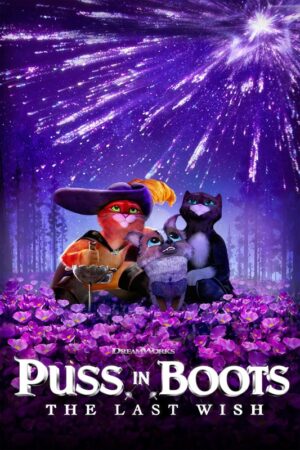 Puss In Boots The Last Wish 2022 Movie Poster