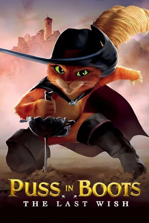 Puss In Boots The Last Wish 2022 Movie Poster