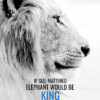 Size Doesn't Matter To Be A King Motivational Poster