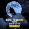 Start Now To Shape Your Tomorrow Animal Motivational Poster