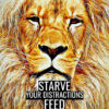 Starve Your Distractions Feed Your Focus Animal Motivational Poster