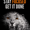 Stay Focused Get It Done Animal Motivational Poster