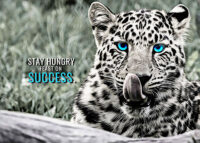 Stay Hungry Feast on Success animal motivational Poster