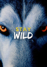 Stay Wild animal motivational Poster