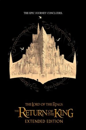 The Lord Of The Rings The Return Of The King 2003 Movie Poster