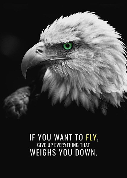 Time To Fly Animal Motivational Poster