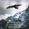 Wide Wings Animal Motivational Poster (copy)